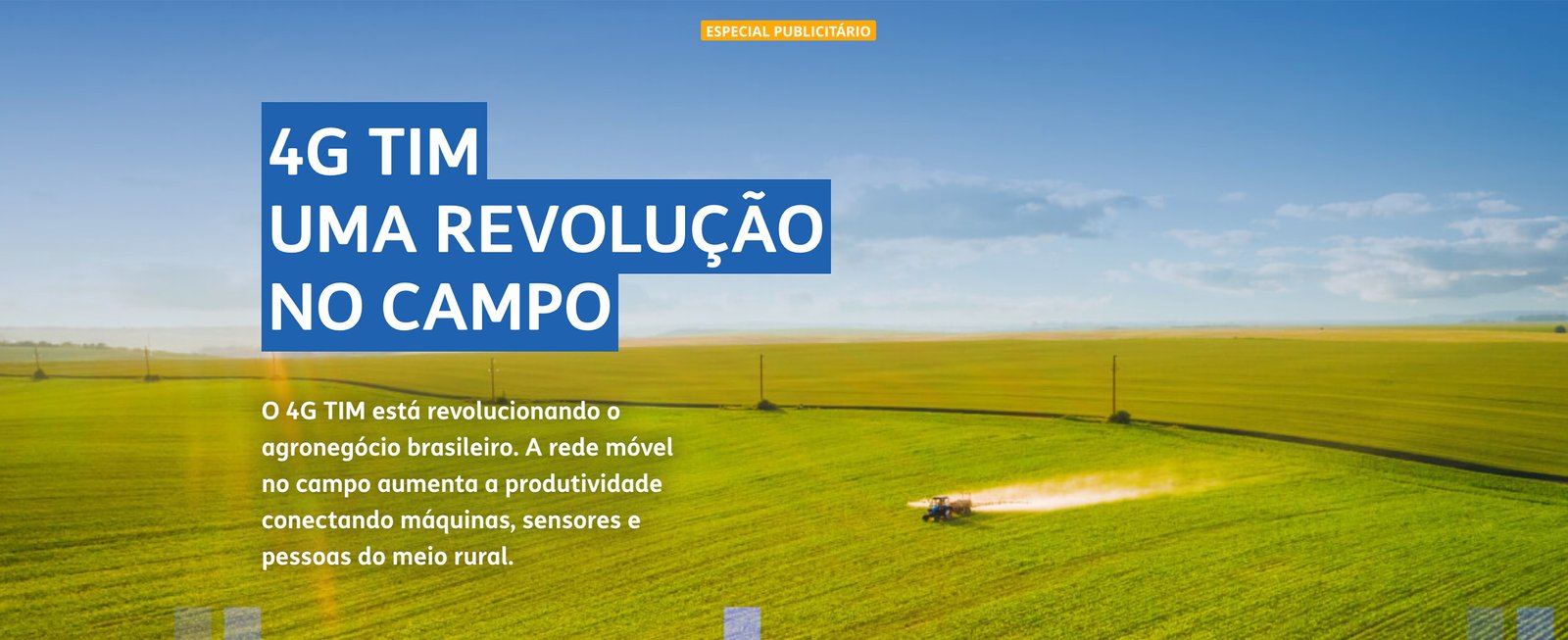 Tim no campo